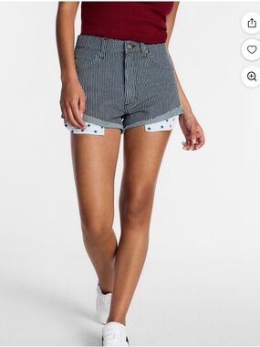 Kacey Musgraves Lee Walmart Women's Blue and White Striped Denim Shorts
